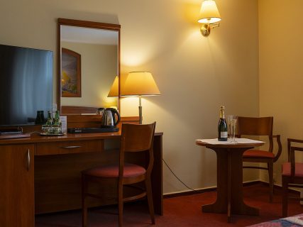 Pokój 2-osobowy Economy *** 2 Pokoj 2 osobowy Hotel Prezydencki Rzeszow 12