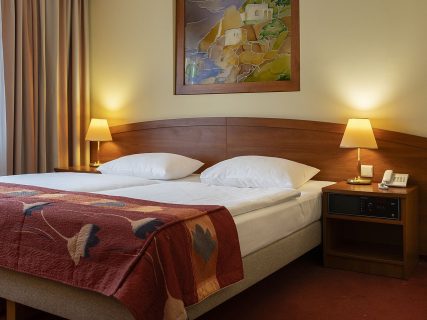 Pokój 2-osobowy Economy *** 1 Pokoj 2 osobowy Hotel Prezydencki Rzeszow 13