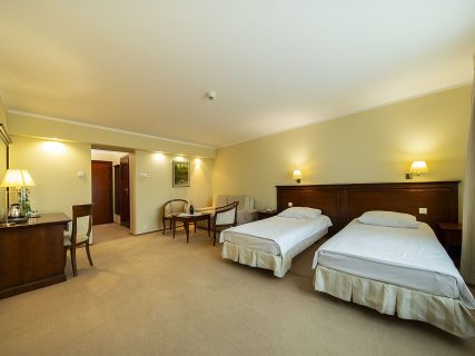 Pokój 2-osobowy Economy *** 6 Pokoj 2 osobowy Hotel Prezydencki Rzeszow 7