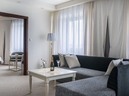 apartament Delux Rzeszow 1