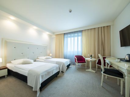 apartament Delux Rzeszow 3